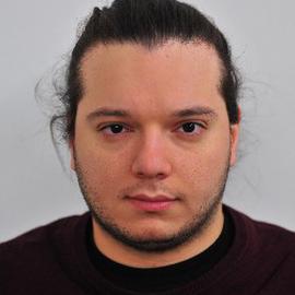 Michele Piccoli